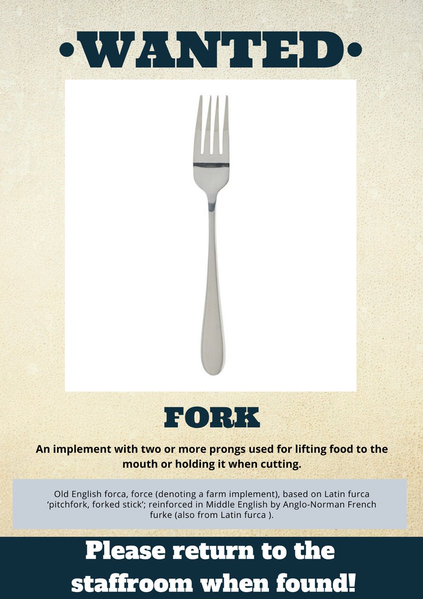 WANTED: Forks🍴Where do they all go? 🤷‍♀️
