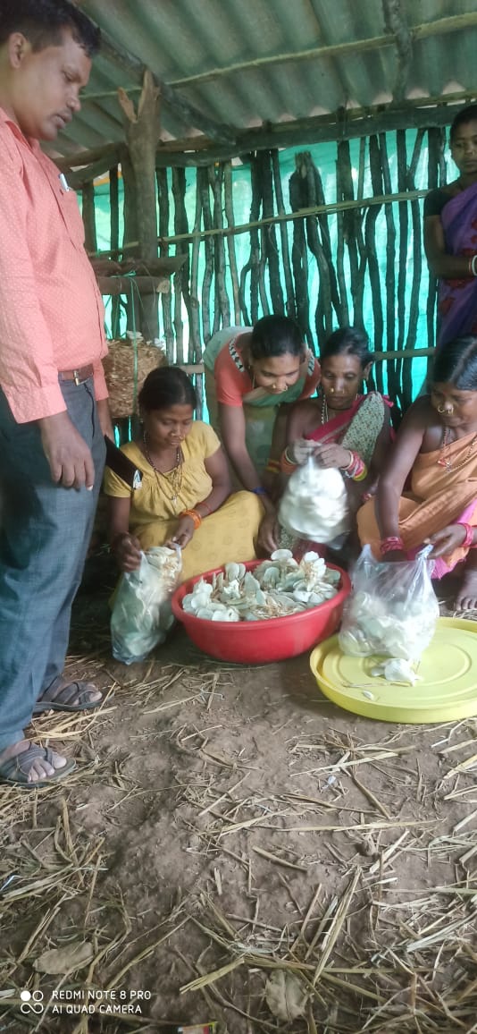 OlmShakti's tweet photo. Mushroom cultivation at Swabhiman Anchal of Chitrakonda Block,Mathili Block, Khairput Block &amp; Kalimela Block of Malkangiri District.
@DAY_NRLM @mission_shakti   @OLM_Antyoday @dm_malkangiri https://t.co/5QTuzwYmX8
