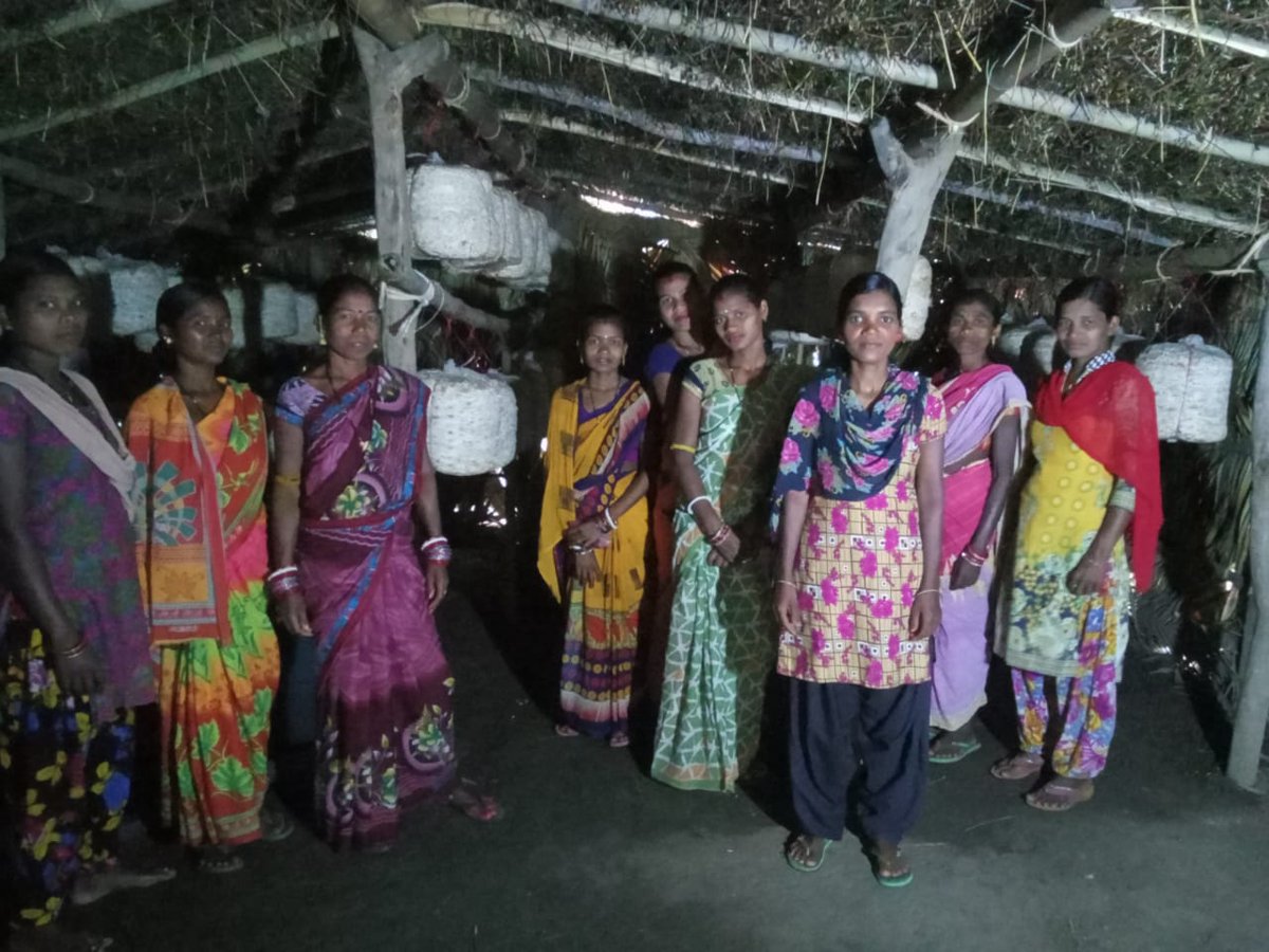 OlmShakti's tweet photo. Mushroom cultivation at Swabhiman Anchal of Chitrakonda Block,Mathili Block, Khairput Block &amp; Kalimela Block of Malkangiri District.
@DAY_NRLM @mission_shakti   @OLM_Antyoday @dm_malkangiri https://t.co/5QTuzwYmX8