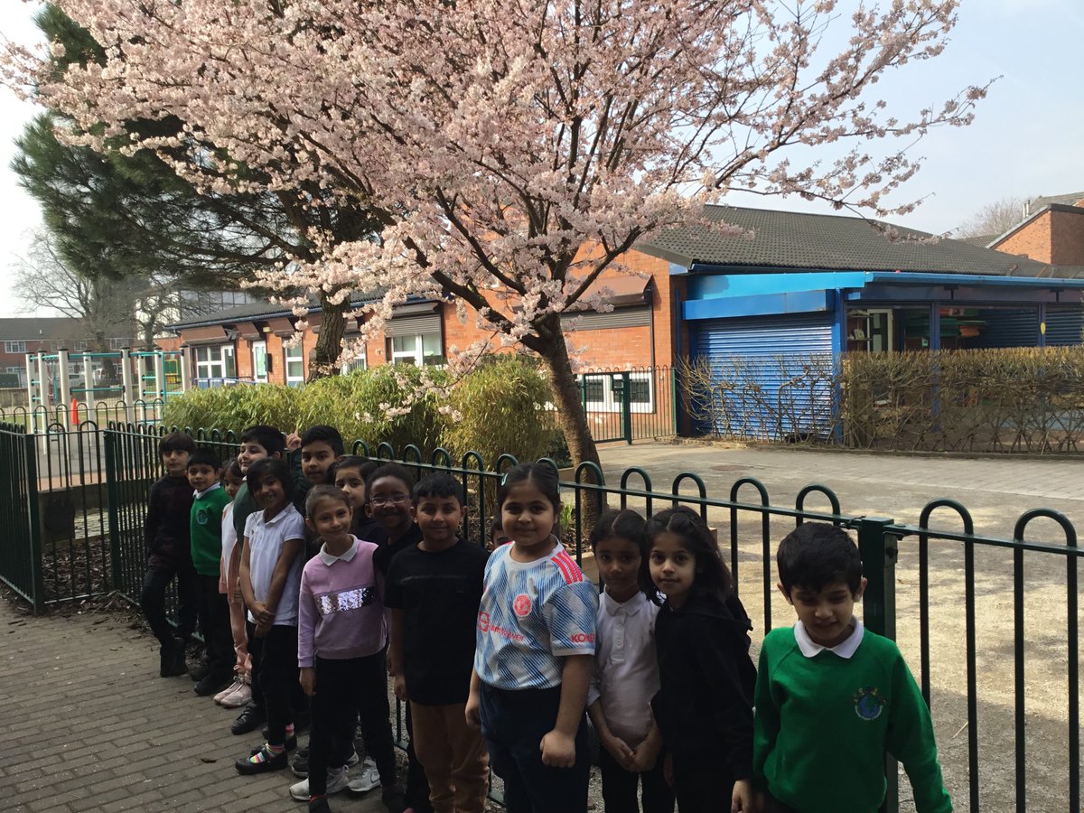 DeeplishPA's tweet photo. Year One have had a blooming good time searching for signs of Spring and identifying deciduous and evergreen trees as part of our work in Science and Geography. https://t.co/13Iys3XsJ8