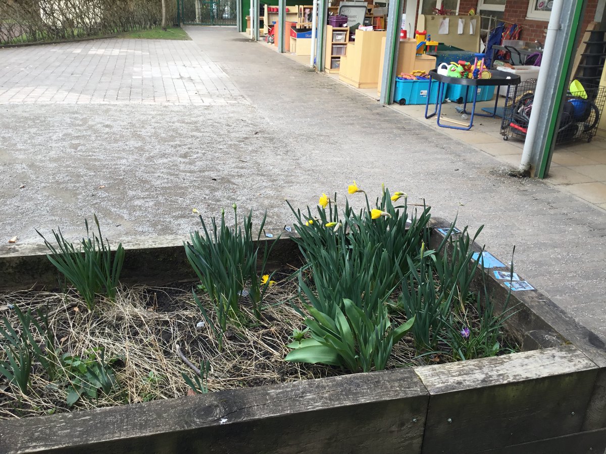 DeeplishPA's tweet photo. Year One have had a blooming good time searching for signs of Spring and identifying deciduous and evergreen trees as part of our work in Science and Geography. https://t.co/13Iys3XsJ8
