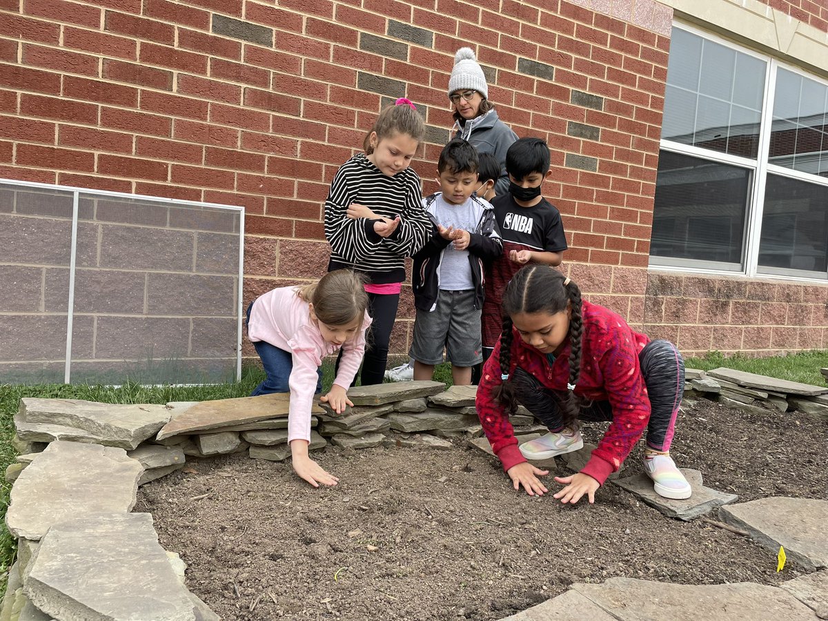 MrsKaylaLambert's tweet photo. Planting lettuce seeds in the garden! We can’t wait for the seeds to sprout 🌱 #FHRES22 @fhrgardenlab https://t.co/DgT2fohzca