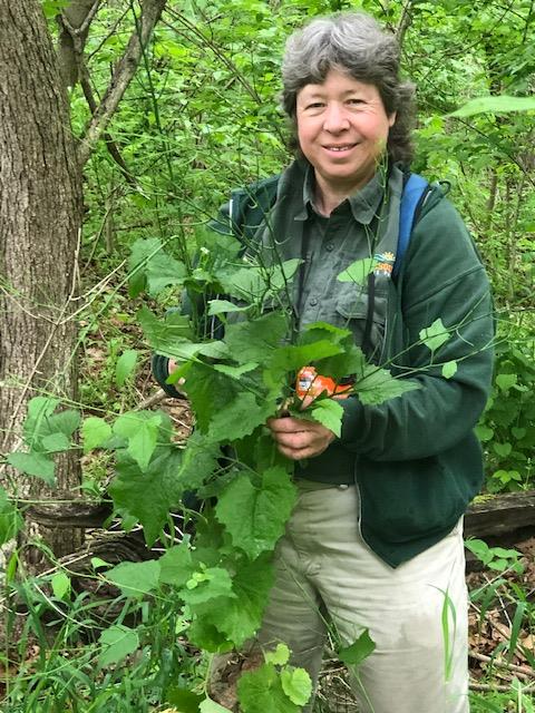MoDNR's tweet photo. As part of MoDNR’s efforts to improve diversity, inclusion and belonging we are asking our team members to share THEIR story. Meet Roxie Campbell, park naturalist at Rock Bridge Memorial State Park. Roxie has served the citizens of Missouri for 35 years. #KnowTheirStory (1/5) https://t.co/y5THk7EnPs