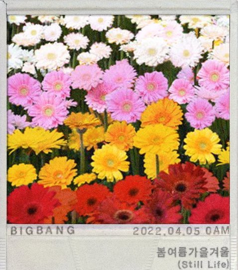 Life w/o                               Life w/
BIGBANG                            BIGBANG