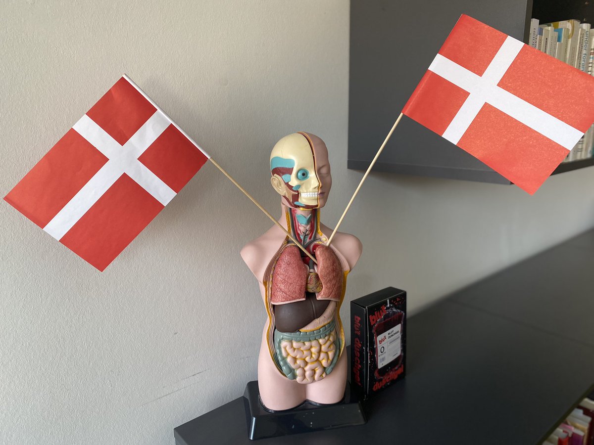 VibekeRNoer's tweet photo. Skønneste kollega 😍 Tænk sig at møde ind på kontoret til et flagpyntet torso på sin fødselsdag. TAK for dig @GrGlavind #ligei❤️ #UPP @VIAuniversity https://t.co/pws6HiNzs8