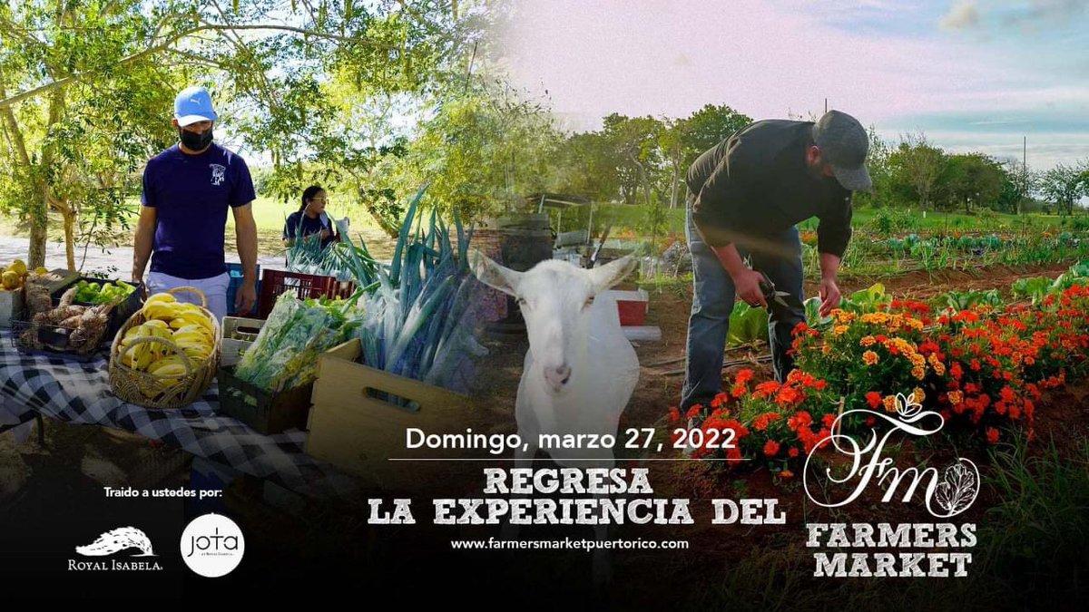 3er Farmers Market Culinary Event. Ven y disfruta de este evento culinario a llevarse acabo este próximo Domingo 27 de Marzo 2022. 
Traído a ustedes por Jota Restaurant y Royal Isabela. 
Reserva tu espacio hoy llamando al (787) 609-5888
#apoyalolocal #farmersmarket