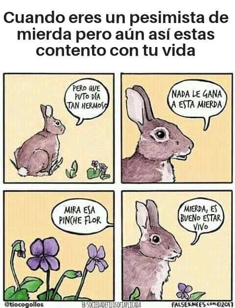 padrinitoyeye's tweet image. #PoderosoYCordial buenos y cordiales días @ruleiro y @eltalcha seeeeee que suene IDLES 🤘🏽