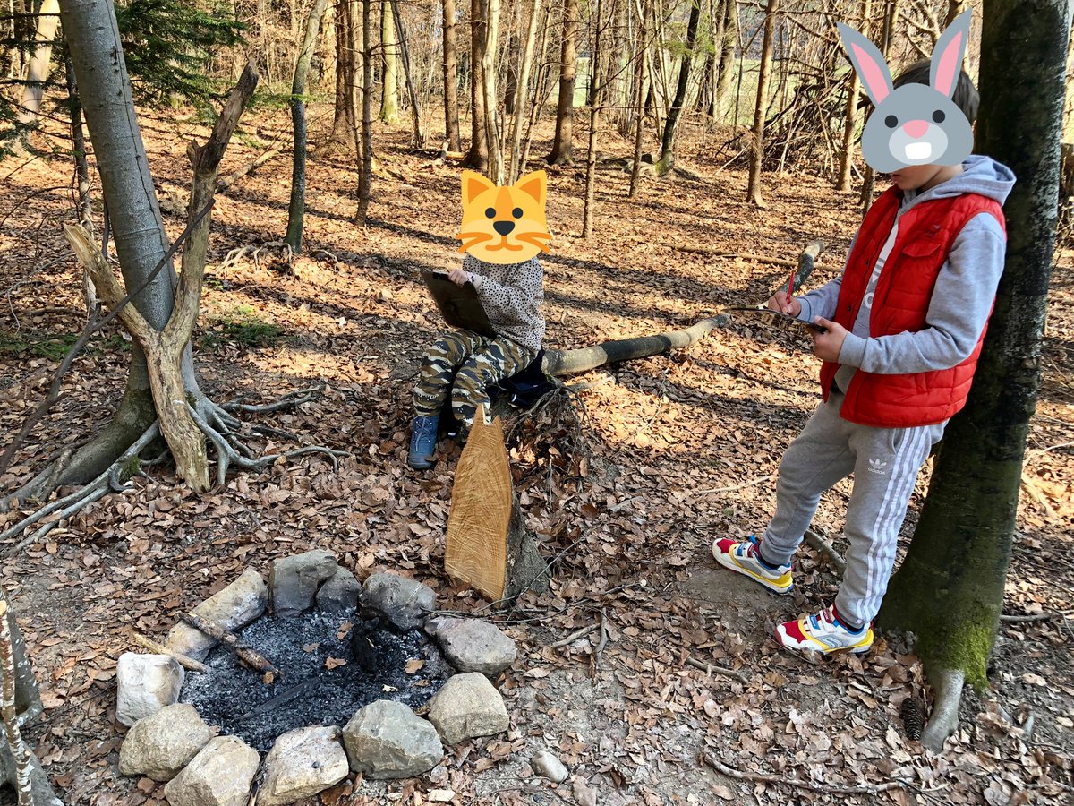 G3 scientists in the forest. Observing and recording similarities and differences between forest and pond ecosystems. #outdoorlearning #funintheforest #ecosystems