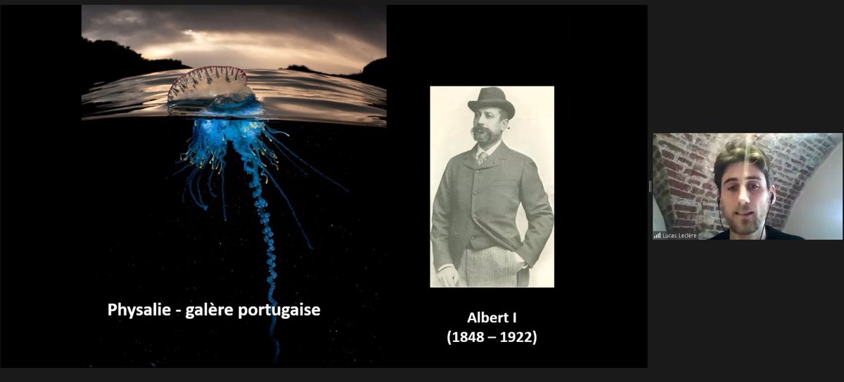 [#RDVenseignants] Encore merci @Leclere_L pour sa présentation riche et passionnante sur les #méduses, objets d'étude des biologistes <a href="/biodev_vlfr/">LBDV Villefranche</a> <a href="/Clytia_Vlfr/">Clytia group LBDV</a> 🤩
Des échanges qui ont permis de redécouvrir ces #animauxmarins d'un point de vue scientifique, loin des préjugés 😉