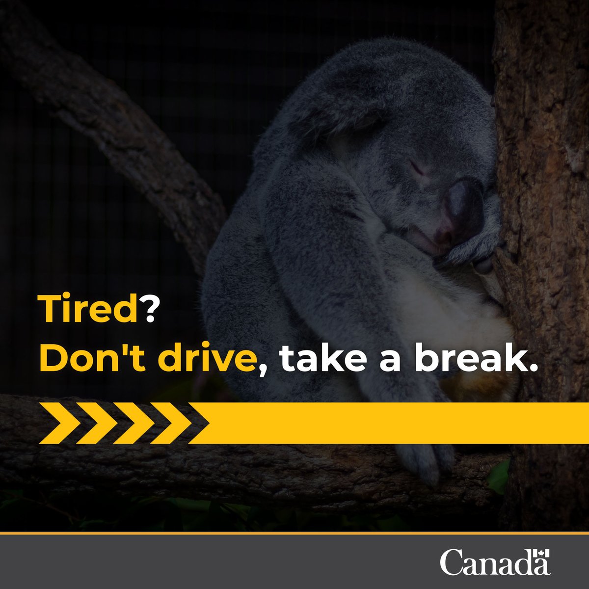 Safety_Canada's tweet photo. Feeling tired? Don’t get behind the wheel. Fatigued driving *is* impaired driving. Avoid drowsy driving by:
- Driving when you’ve rested
- Keeping your mind alert
- Finding a safe place to take a break
#IDriveAlert https://t.co/CMujPkifUR