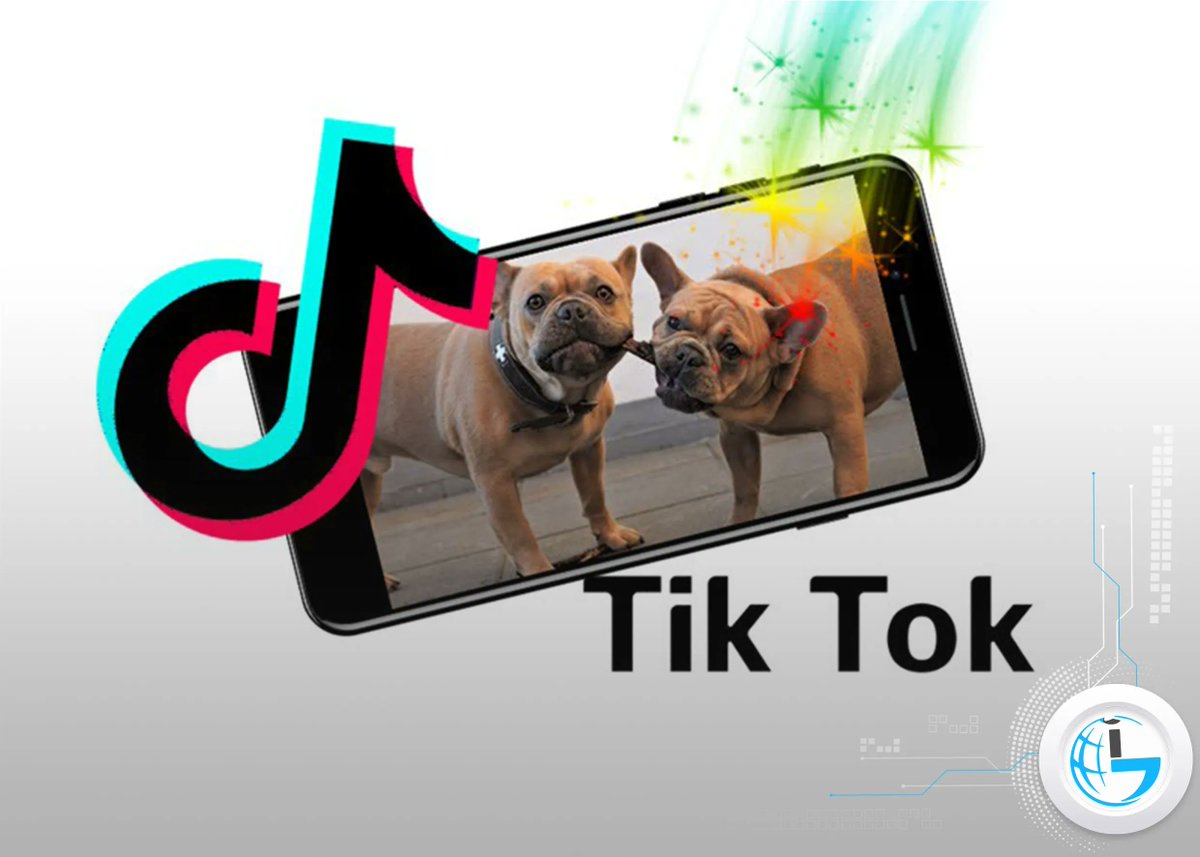 Geekinfos2's tweet image. ✅ Vous voulez Créer des TikTok en duo ❗ 
🎯 Trouver dans  notre guide complet sur geek-infos la procédure la plus simple.
👉geek-infos.com/comment-faire-…