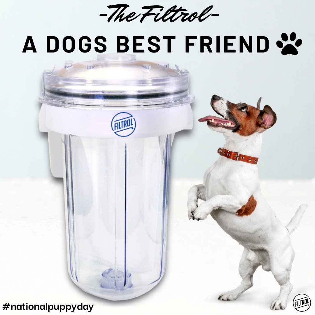 TheFiltrol's tweet photo. Today is #NationalPuppyDay!! 🐾
Did you know the #Filtrol does an amazing job of keeping pet hair that comes from your washing machine, out of your drains and pipes?  🤯
We want to see your furry friends! Post your pictures in the comments!
#washingmachinefilter #pets #dogs https://t.co/D9dLxDRNSW