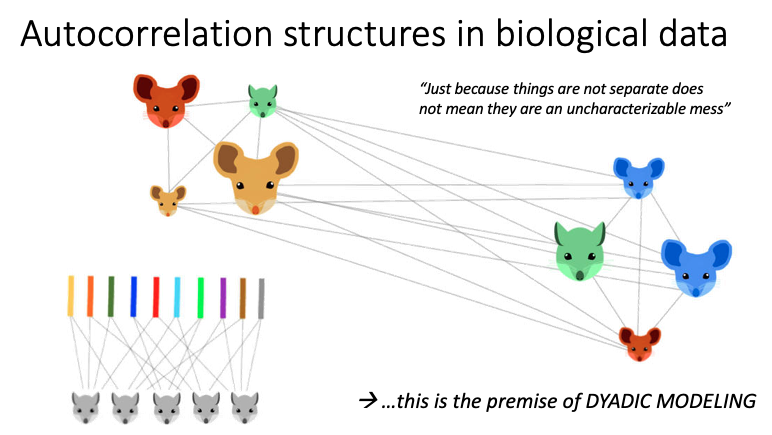 Animal Microbiome Research Group tweet media