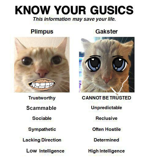 Rothbit (@r0thbit) on Twitter photo 