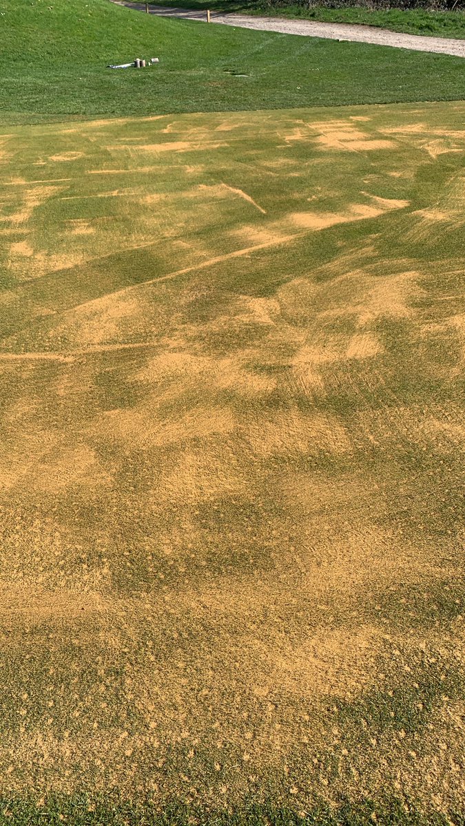 Peter Meek tweet media