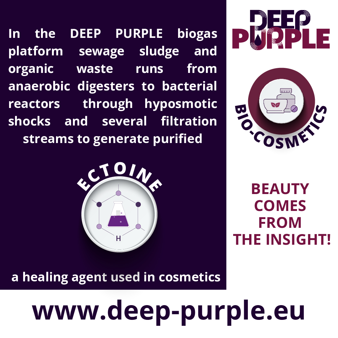 DeeppurpleEU's tweet photo. #biocosmetics #biobasedindustries
One of the components generated within the Deep Purple project is ECTOINE 🤓💡 In the upcoming weeks we will inform you about this natural compound, its production in the project and its valuable use as an ingredient in skin products 🧼💆 https://t.co/ch4Sq5BW3B