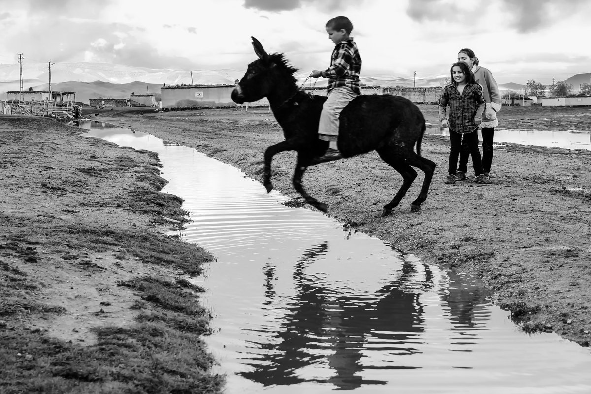 NFT_FingerTouch's tweet photo. Child and Donkey are jumping.
Photographer: Furkan DEMİR

Check out my new NFT on OpenSea! https://t.co/KxB3gCSILe via @opensea 

@opensea @nft.collectors @nft_club 
#opensea #openseanft #nftphotography #nftanimal #NFTCollection #nftart #NFTdrops #donkey https://t.co/42gRpOSDbt