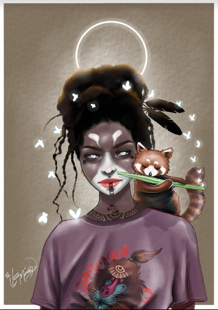 NAP STUDIO.BR tweet media