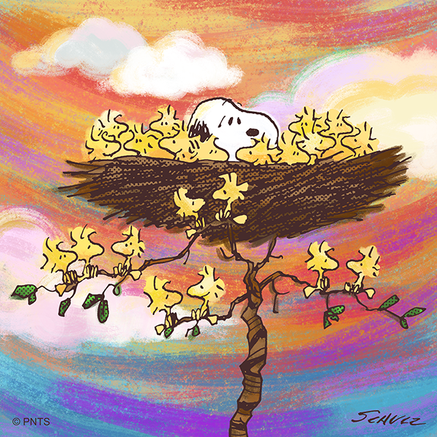 Woodstock's tweet image. &apos; &quot;&apos;&apos;&apos; &quot; &apos;&apos;&apos;&quot;&apos;&apos;&quot;! #MoreTheMerrier