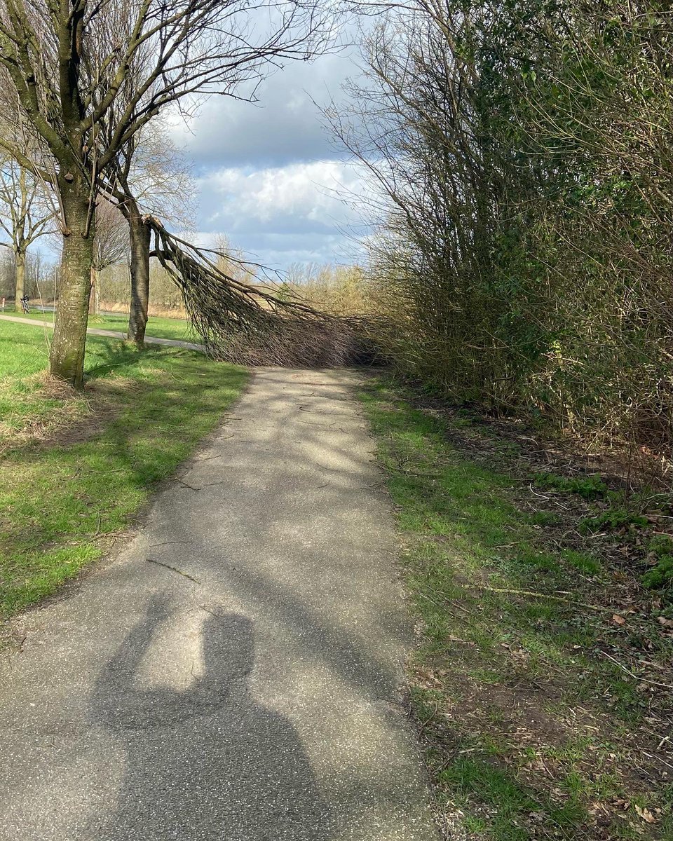 RickResarro's tweet photo. Back in #thenetherlands a bit storm damage but at home everything ok so I’m #writing this week #shadowfie https://t.co/RCPtNSqaVZ