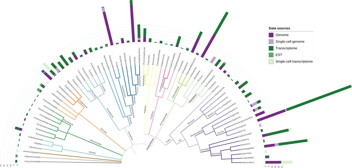 Announcing EukProt v3, an updated database of predicted proteins across eukaryotic diversity, featuring:

- New colleagues!
- 324 new data sets (now 993 species in total)
- 18S sequences
- A BLAST server
- BUSCO scores
- A selected subset of 196 species (the TCS)