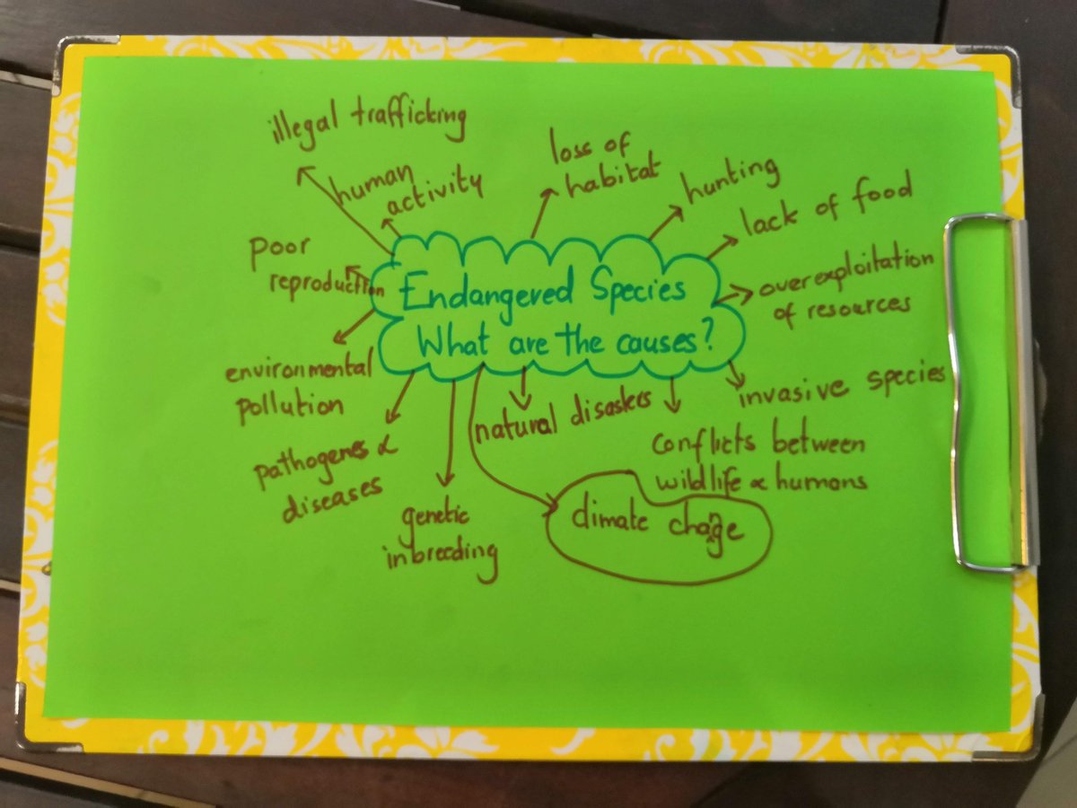 LSKlearning's tweet image. #HarmoniousSpecies Project with Tween #StudentExplorers
🌿Exploring local endemic &amp;amp; endangered species
🔎Endangered Species - What are the causes?
👉#ClimateChange project next
The #HarmoniousSpecies Project:issuu.com/daniellez9/doc…
#ExplorerMindset Moments 2022💙💛