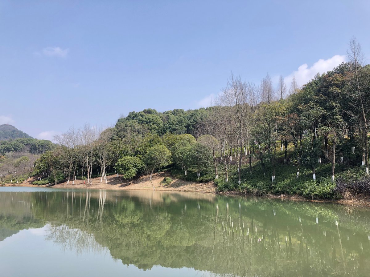 FlowJP_'s tweet photo. This is a picture of my favorite scenery ��  I'm in the running to win NFT airdrops by #Paraland! Join me! https://t.co/AsgasVoo9H #Paralanders #Airdrop #Sancturary https://t.co/Tbjy6fK7KB