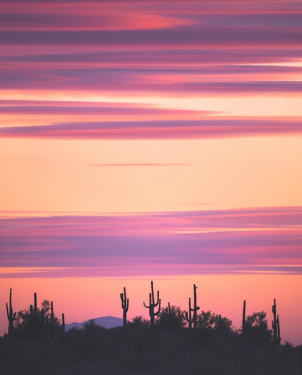 Nothing beats a desert sunset. 

📍Sonoran Desert, AZ.

Photo via <a href="/nathanielwise/">Nathaniel Wise</a>

#UnaTravel #Arizona #sonoradesert