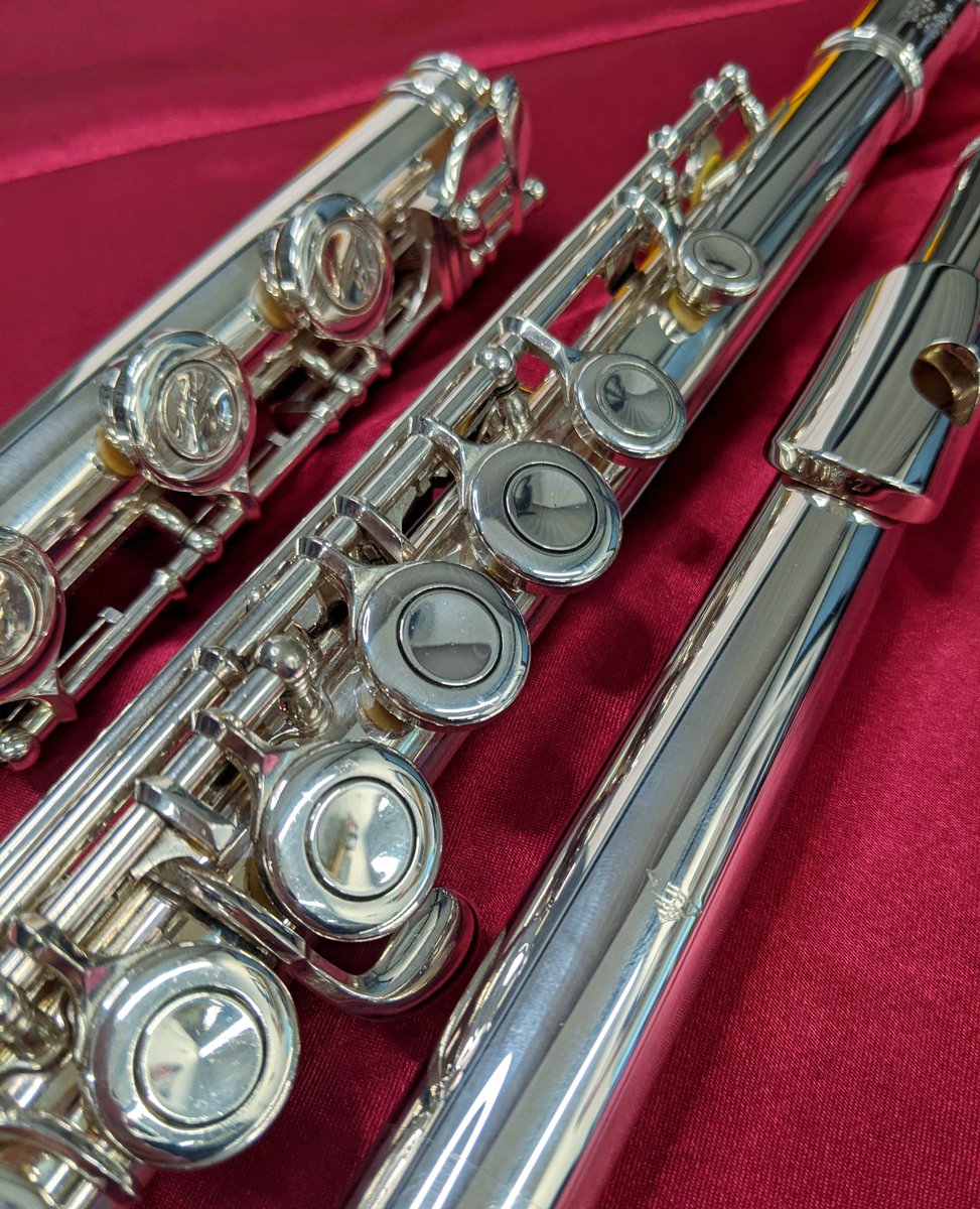 AllFlutesPlus's tweet image. We've got a nice Sankyo CF Silversonic secondhand flute for sale! RT2 Headjoint, closed hole and B foot, and in very good condition. £2500
Specs and purchase: bit.ly/3u8XETN

#secondhandflute #silverflute #closedhole #fluteplayer #flutemusic #flutelife #flutes