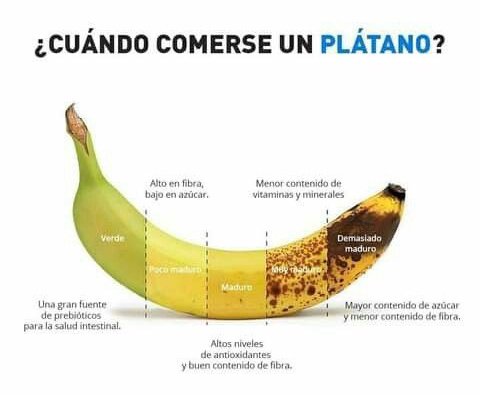 WellnessZhandra's tweet photo. #NotaFit 💪🏻🍌🏋🏻♀️ https://t.co/zHJy5PeFVx