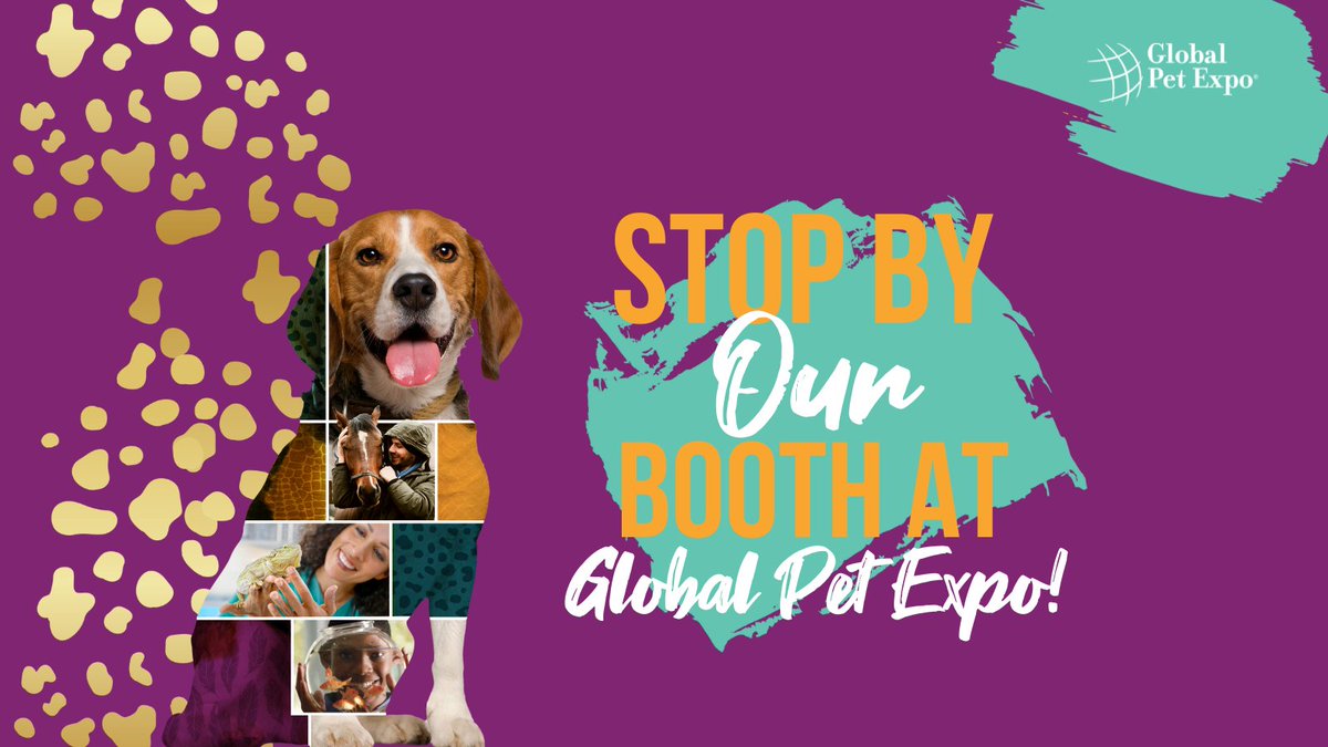 HyperPetToys's tweet photo. Exciting things are happening in the pet industry this week! Find us at @GlobalPetExpo in Orlando, FL Wed 4/23 - Fri 4/25. 🌐  🐾  
#hyperpet #hyperpettoys #toysforpets #dogsofinstagram #catsofinstagram #globalpetxepo2022 https://t.co/IhgXqQaeUE
