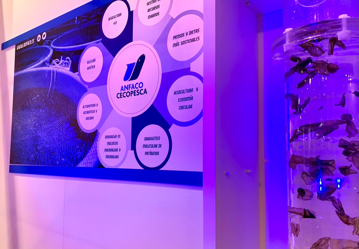 ANFACO-CYTMA tweet media