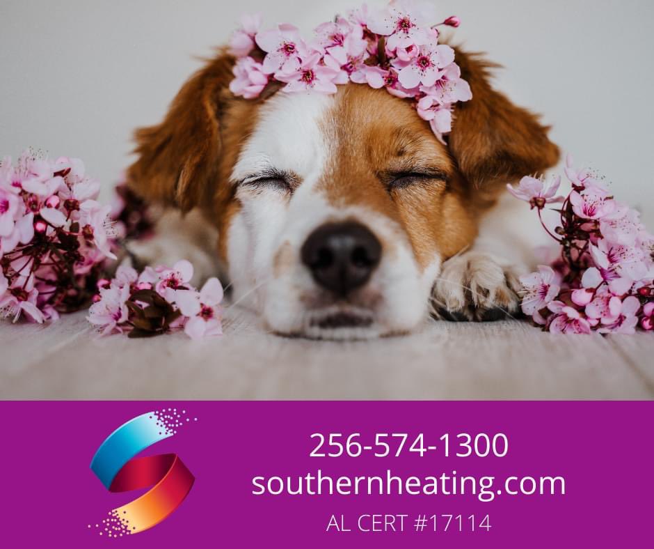 With the arrival of #Spring this week, we want to remind you that now is a good time to schedule your #HVAC #Maintenance. Call or send us a PM today to get on our schedule.

#SpringCleaning #Unstoppable #AirConditioner #heatingandcooling #NowHiring