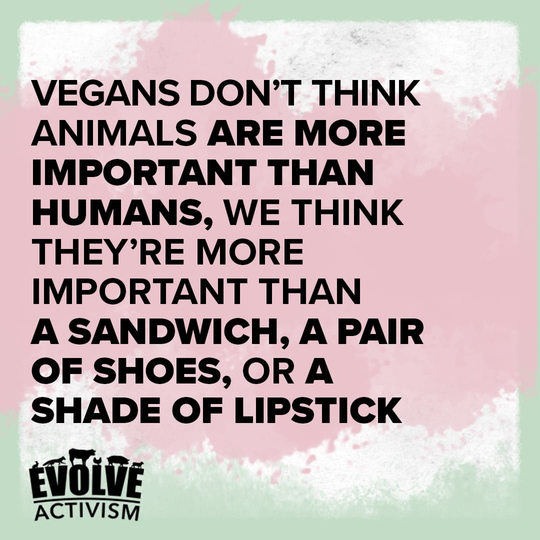 💯 
#WednesdayWisdom
#Animals 
#Vegan