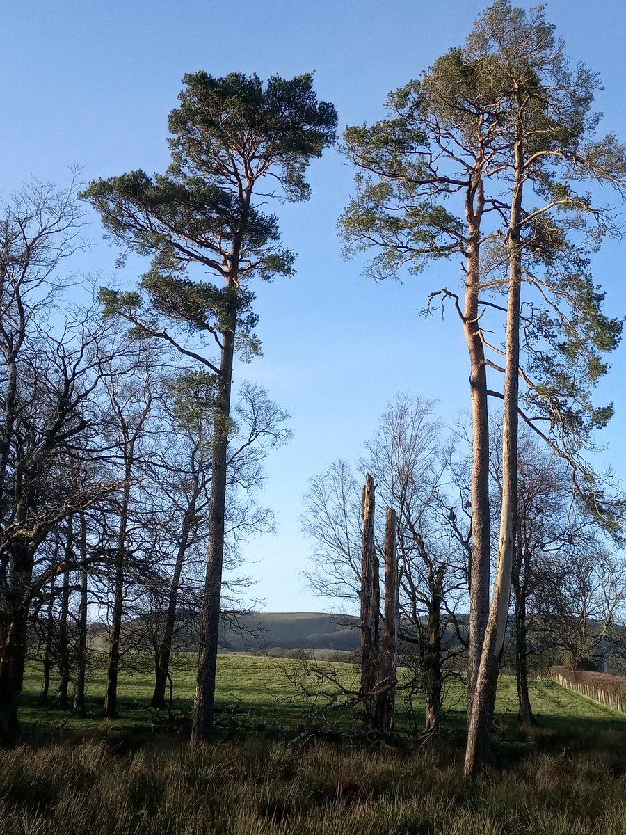 Mid Wales feeling summery