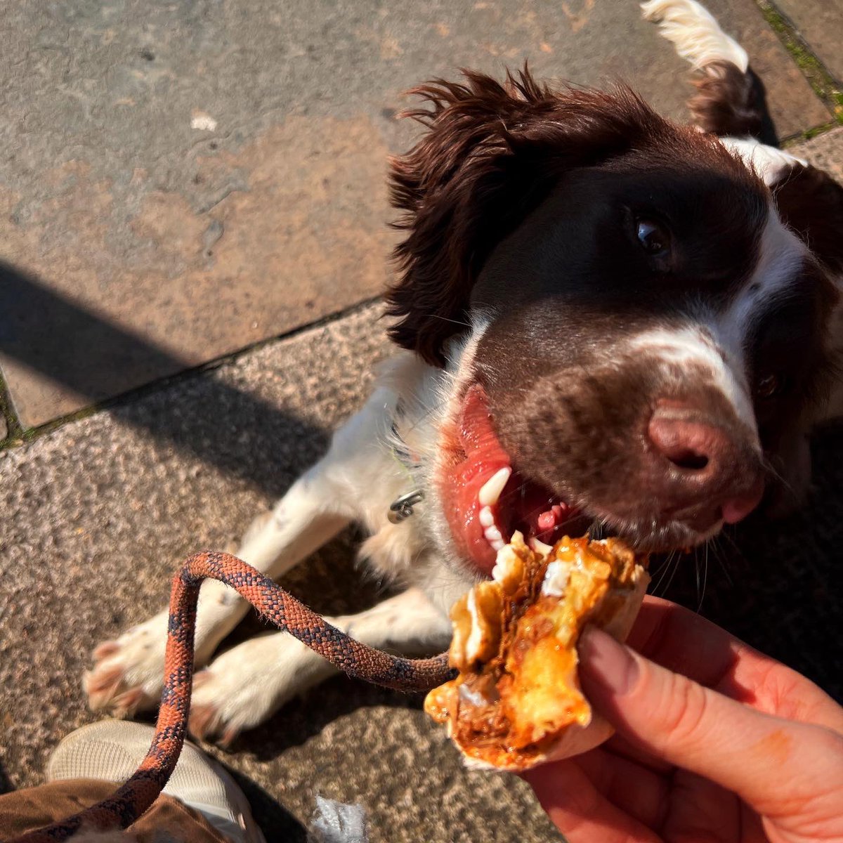 _DylanBenjamin's tweet image. Mood