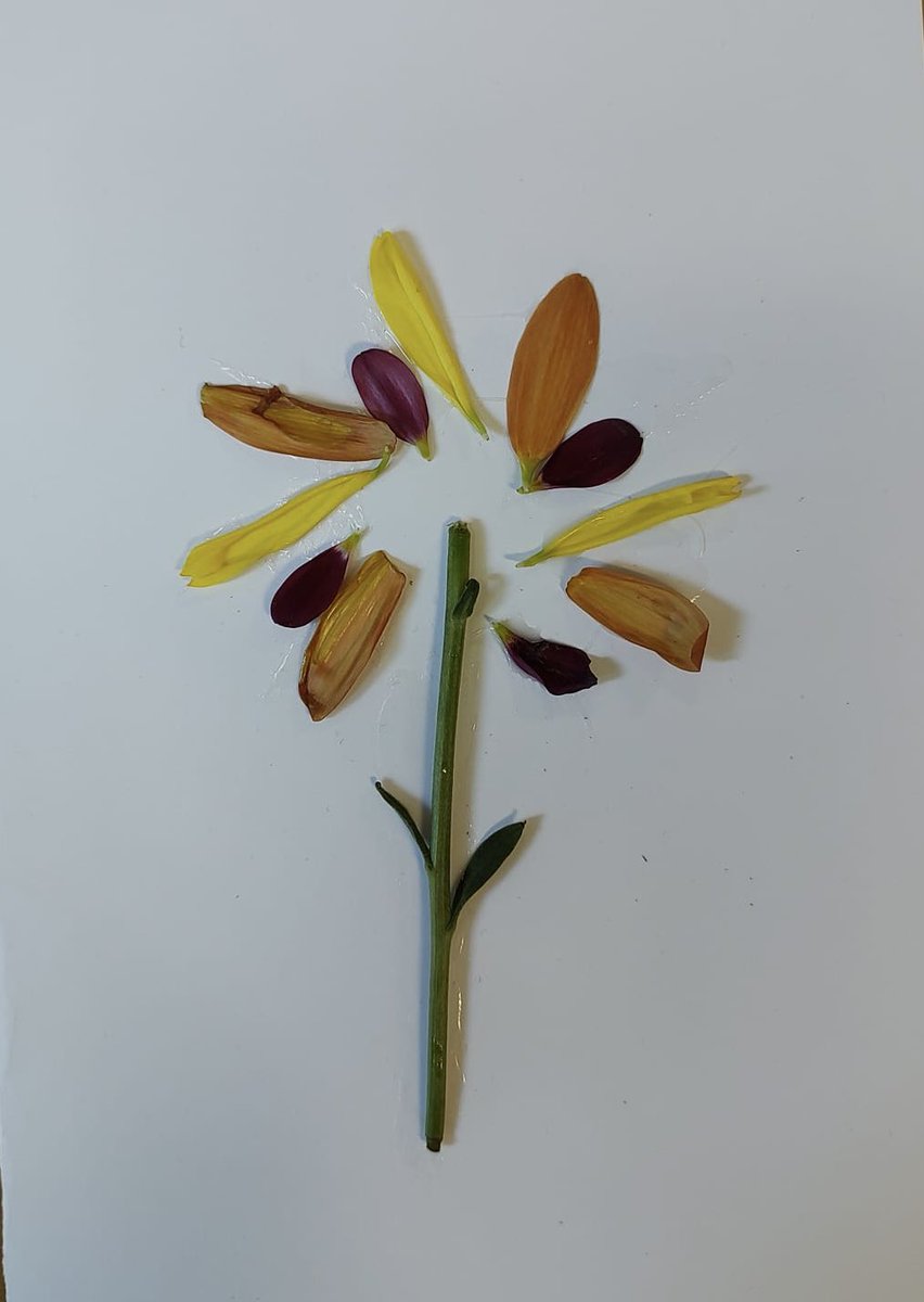 wpsYear2Melyn's tweet photo. @WillowtownPri  Year 2’s beautiful Mother’s Day cards. The children loved choosing their own flowers and designs for their cards and we love that they are all different and unique🌷🌻🌷 #happymothersday #childledlearning #newcurriculumfowales https://t.co/nRju1Of6aG
