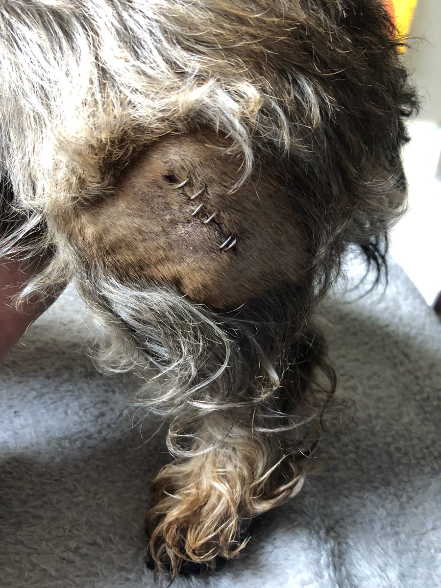 Alistair David tweet media