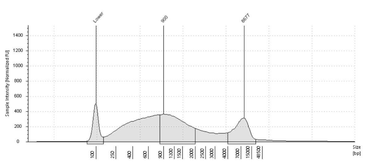 Rasmus Kirkegaard tweet media