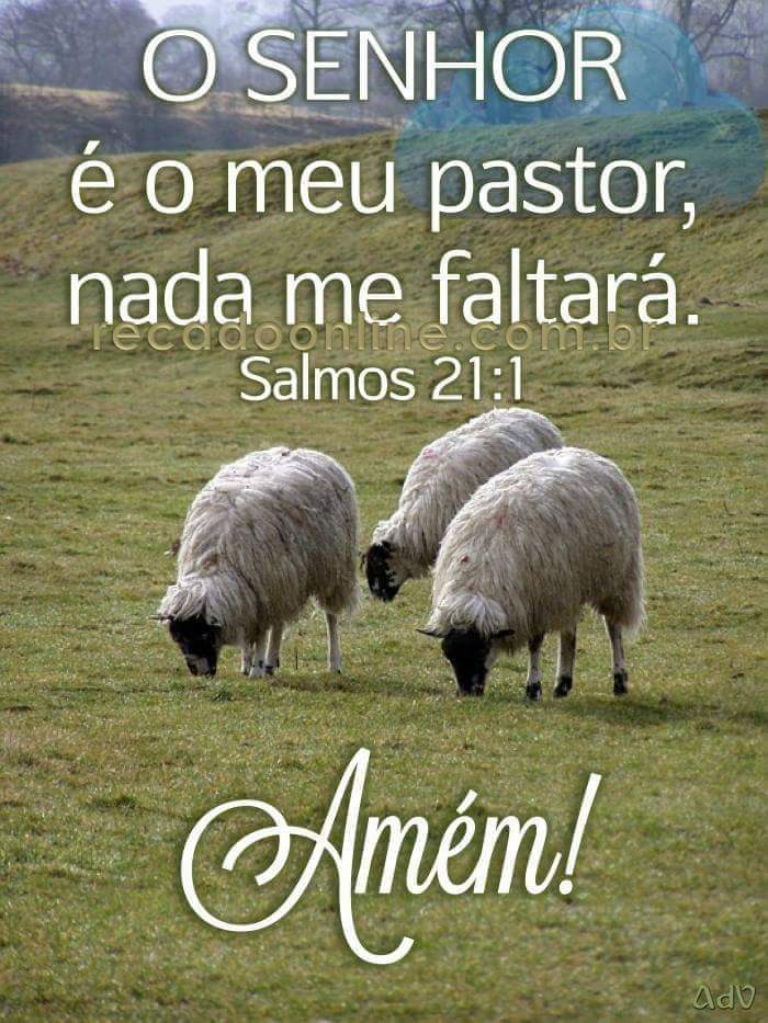 clebiosantosdas's tweet photo. Bom dia Deus abençoe. https://t.co/EaiZtYlUEo