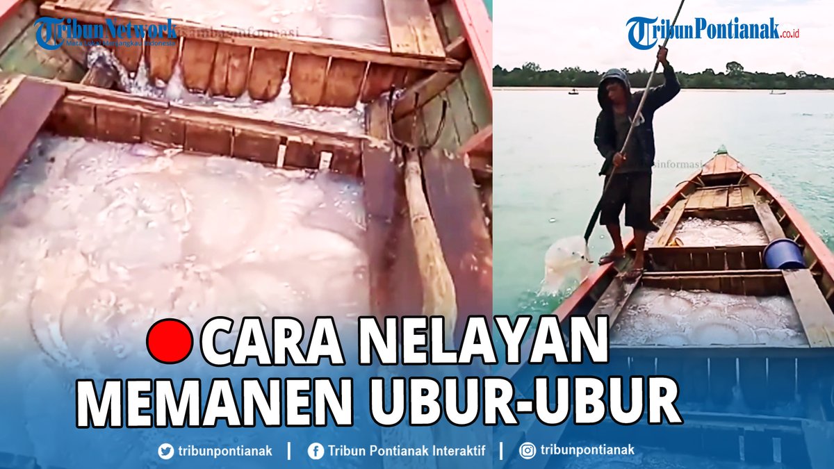 tribunpontianak's tweet photo. ยฎ๏ธ๐ด Inilah momen nelayan di Paloh sedang panen ubur-ubur di laut.
https://t.co/l57PLKV68e
#Nelayan #Panen #Ubur #Paloh
Rahmat Surya Ten Hag #ONEPIECE1044 Panci Justin Bieber blackpink Messi Noel Dybala Prayer Blink Brazil https://t.co/ybrh0AFlQB