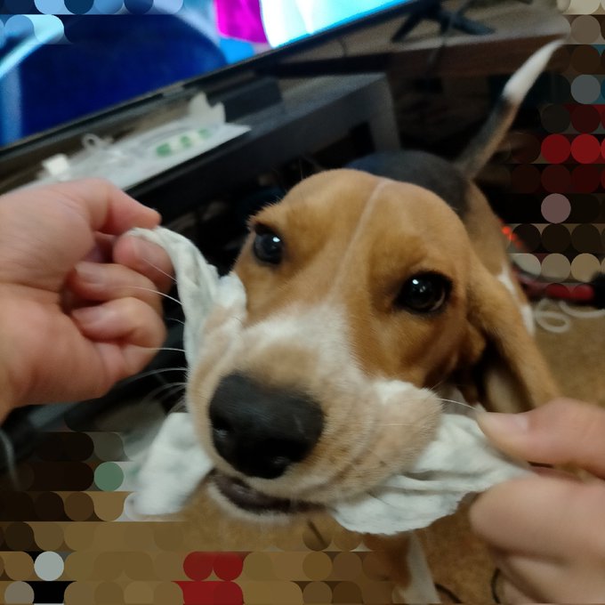 画像まとめ ユリシーズ ジャンヌ ダルクと錬金の騎士 4ページ目 アニメレーダー