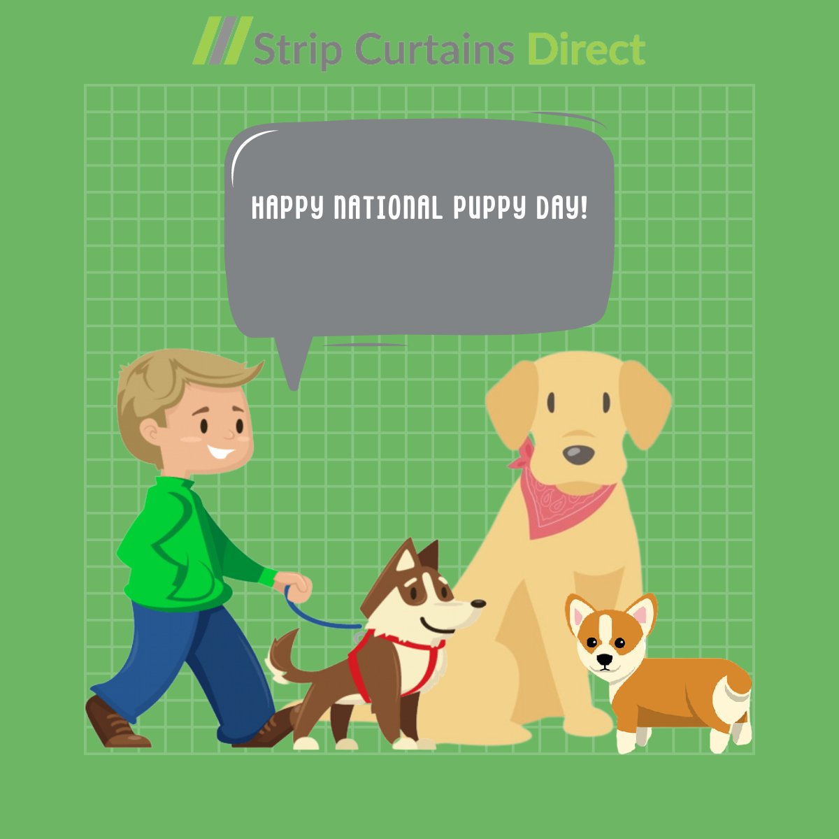 strip_curtainsD's tweet photo. It is National Puppy Day today! It’s a day to celebrate the adorable furry little friends in your homes! Be sure to give them plenty of love and plenty of treats today to celebrate

https://t.co/gZaZVkyeFx

#puppy #nationalpuppyday #dogs #pvc #stripcurtainsdirect https://t.co/D4J7RPE3qV
