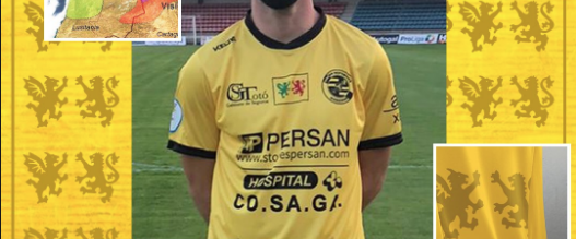 O símbolo co dragón verde e o león encarnado gañou popularidade e foi adoptado como emblema por equipos deportivos, como o <a href="/Sueviagz/">Suévia Fut. Gaélico</a> ou a camiseta do <a href="/UDOurense2014/">UD Ourense 🐺</a> en 2020-21.