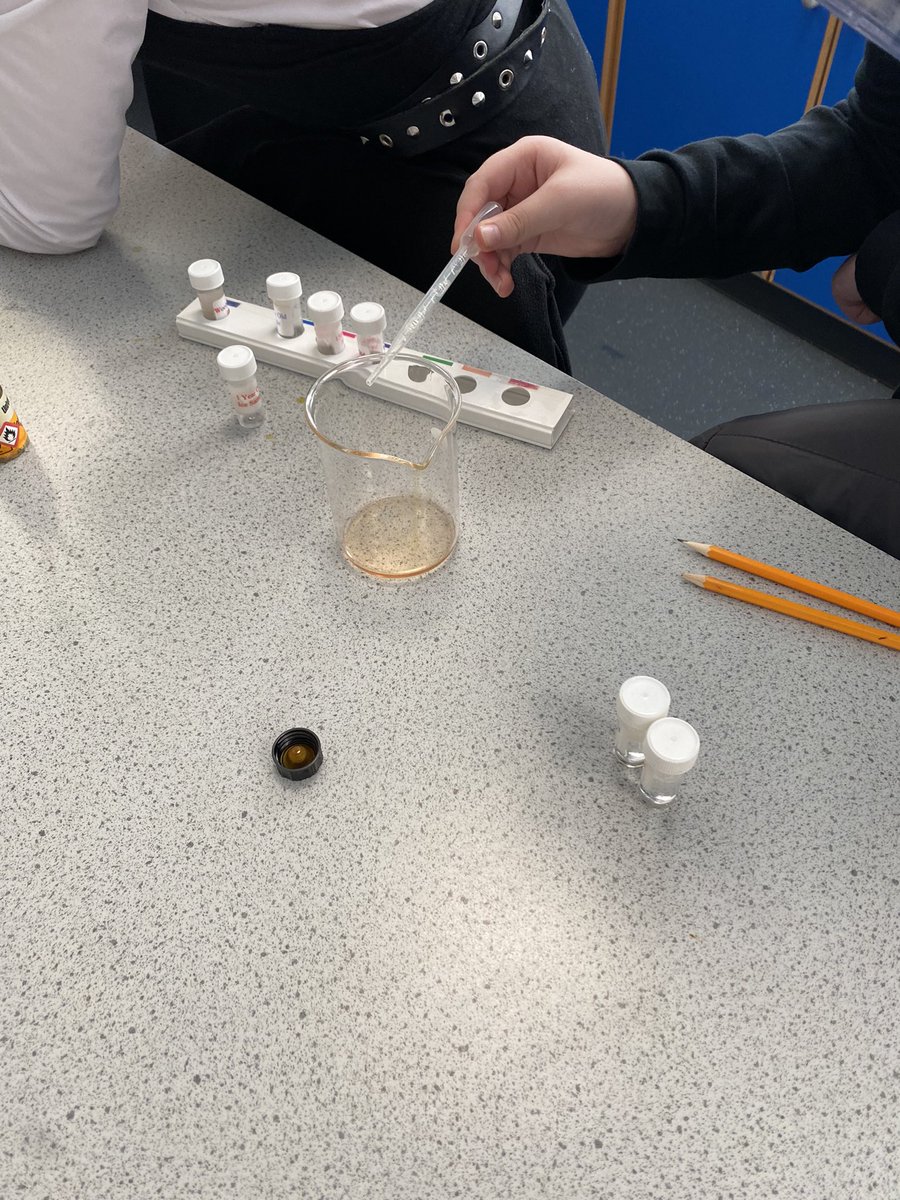 Miss Graham👩🏼‍🔬✨ tweet media