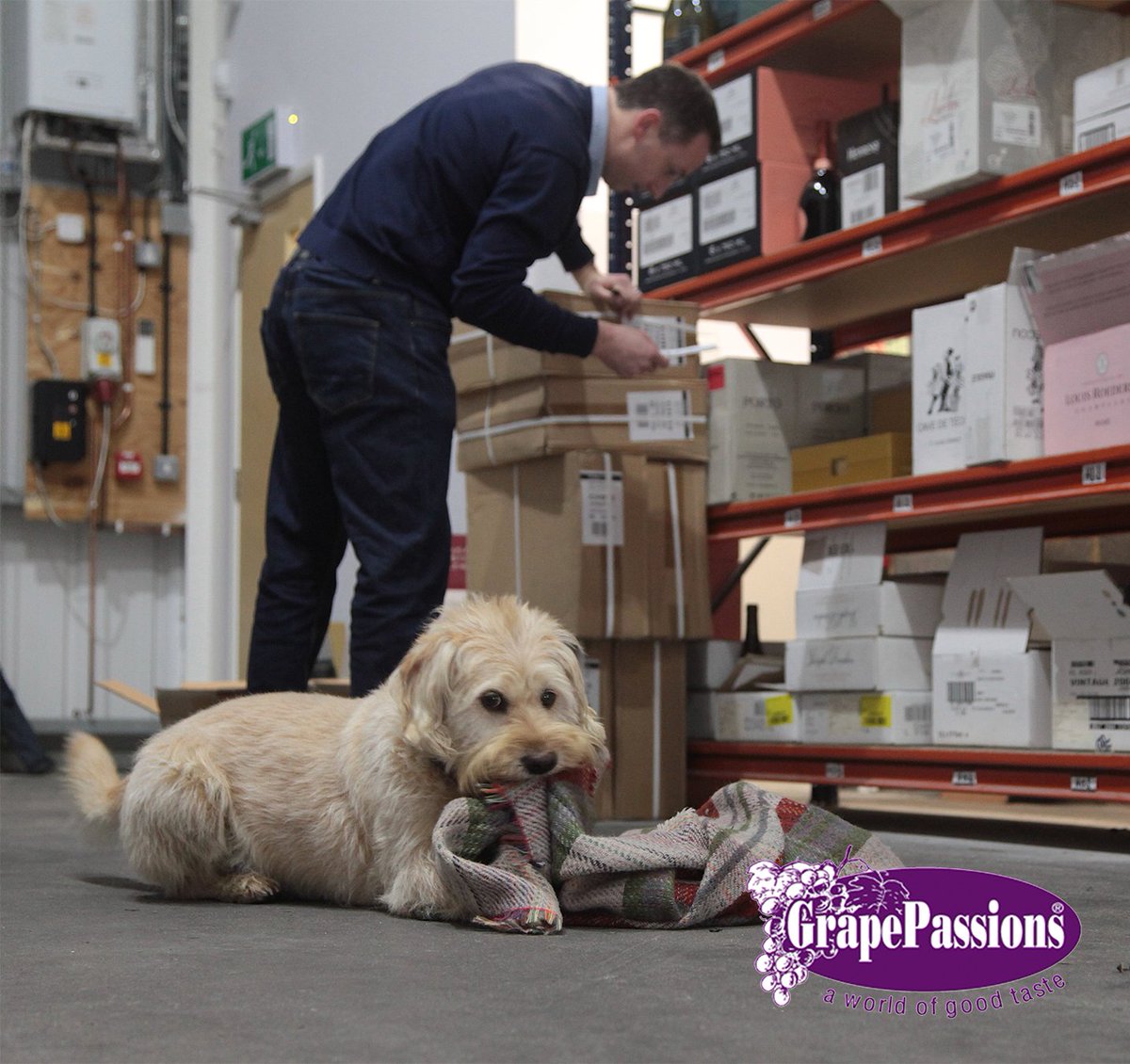 Grape Passions tweet media