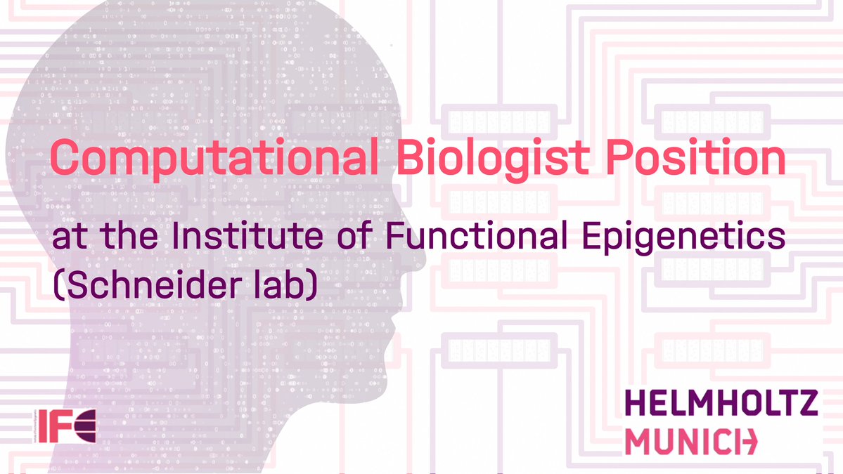 robert_ife's tweet photo. Please RT. We’re looking for a Computational Biologist in the Schneider lab. #Epigenetics. Integration of omics datasets, #singlecell, embedded in wet-lab + great ML and AI expert environment
 
➡️ https://t.co/ImmEevUfb0 https://t.co/hYvrxjno1k