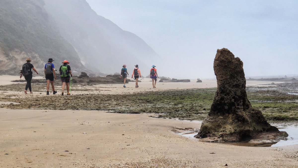 CoastalWalk's tweet photo. Explore the pristine #GardenRoute coastline on a 5 day #slackpacking #hiking adventure. 
#ecoadventure #SouthAfrica 
https://t.co/wr7EDsIlZ5 https://t.co/9amrVWlZwY