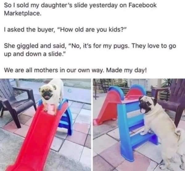 WholesomeMemes (@wholesomememe) on Twitter photo 