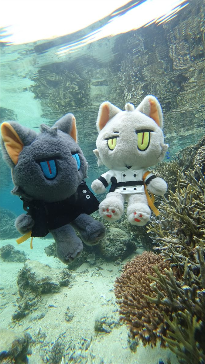 アークナイツ ファウスト メフィスト 猫猫ぬいぐるみ（アーク